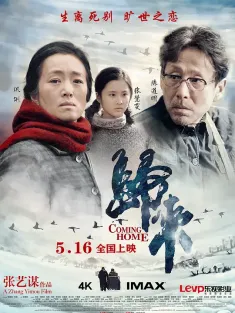 归来 2014 陆犯焉识/Coming Home