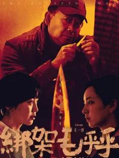 绑架毛乎乎 2023 陌生人的糖/The Kidnapping/The Escaping Man