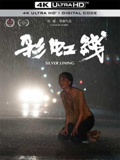 彩虹线 (2024) / SILVER LINING