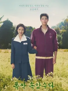 《苦尽柑来遇见你 폭싹 속았수다 2025》辛苦了/您辛苦了/你辛苦了