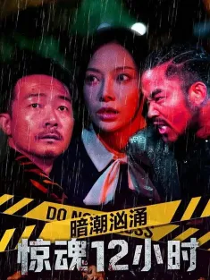 暗潮汹涌之惊魂12小时 2025