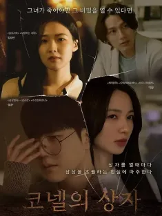 康奈尔之盒 코넬의 상자 2024 Cornell's Box