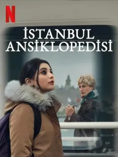 伊斯坦布尔百科全书 Istanbul Ansiklopedisi 2025 Istanbul Encyclopedia